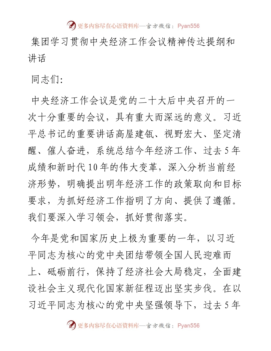 集团学习贯彻中央经济工作会议精神传达提纲和讲话.docx_第1页