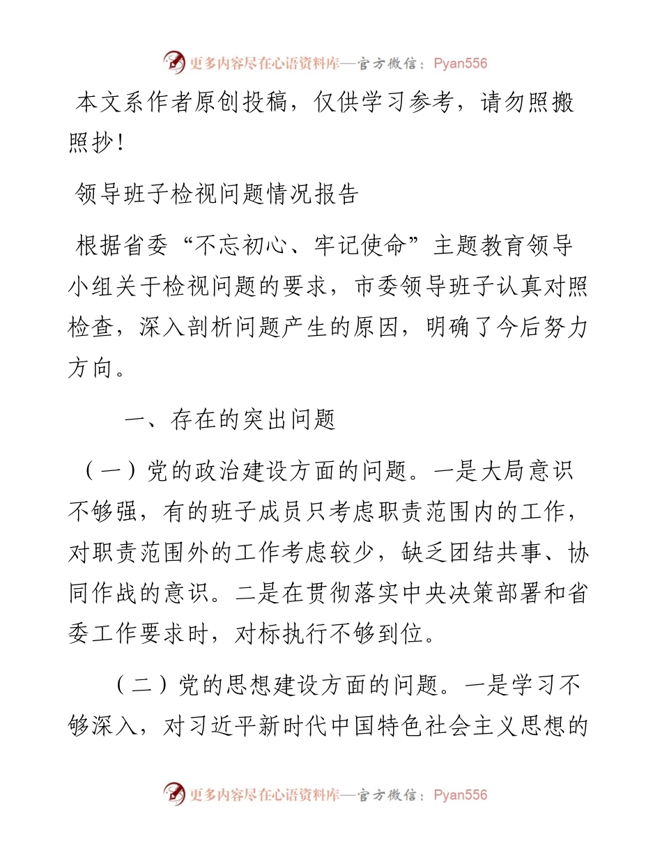领导班子检视问题情况报告.docx_第1页