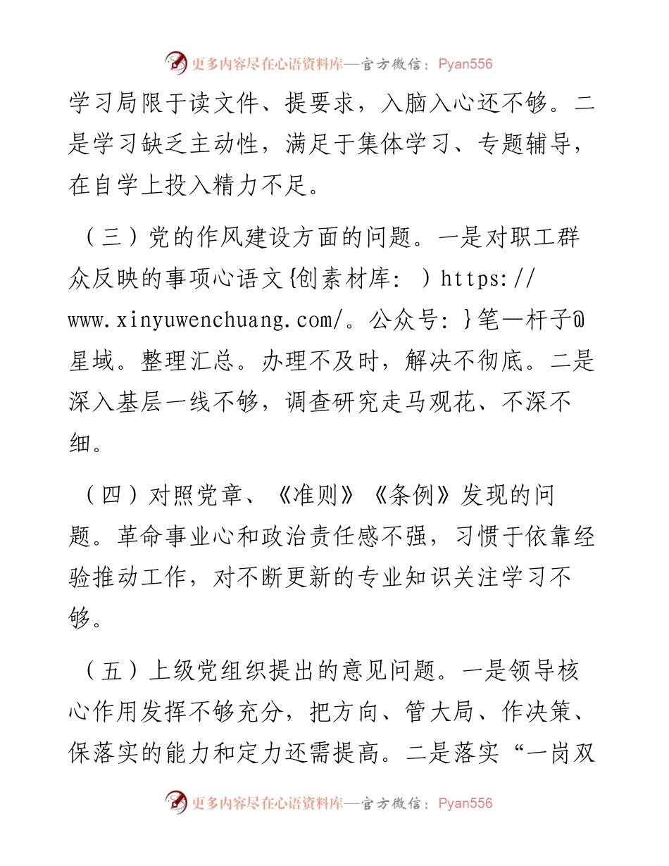 领导班子检视问题情况报告.docx_第2页