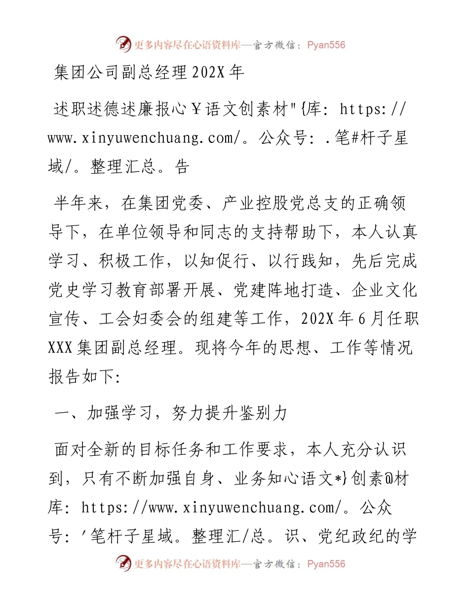 集团公司副总经理202X年述职述德述廉报告.docx_第1页