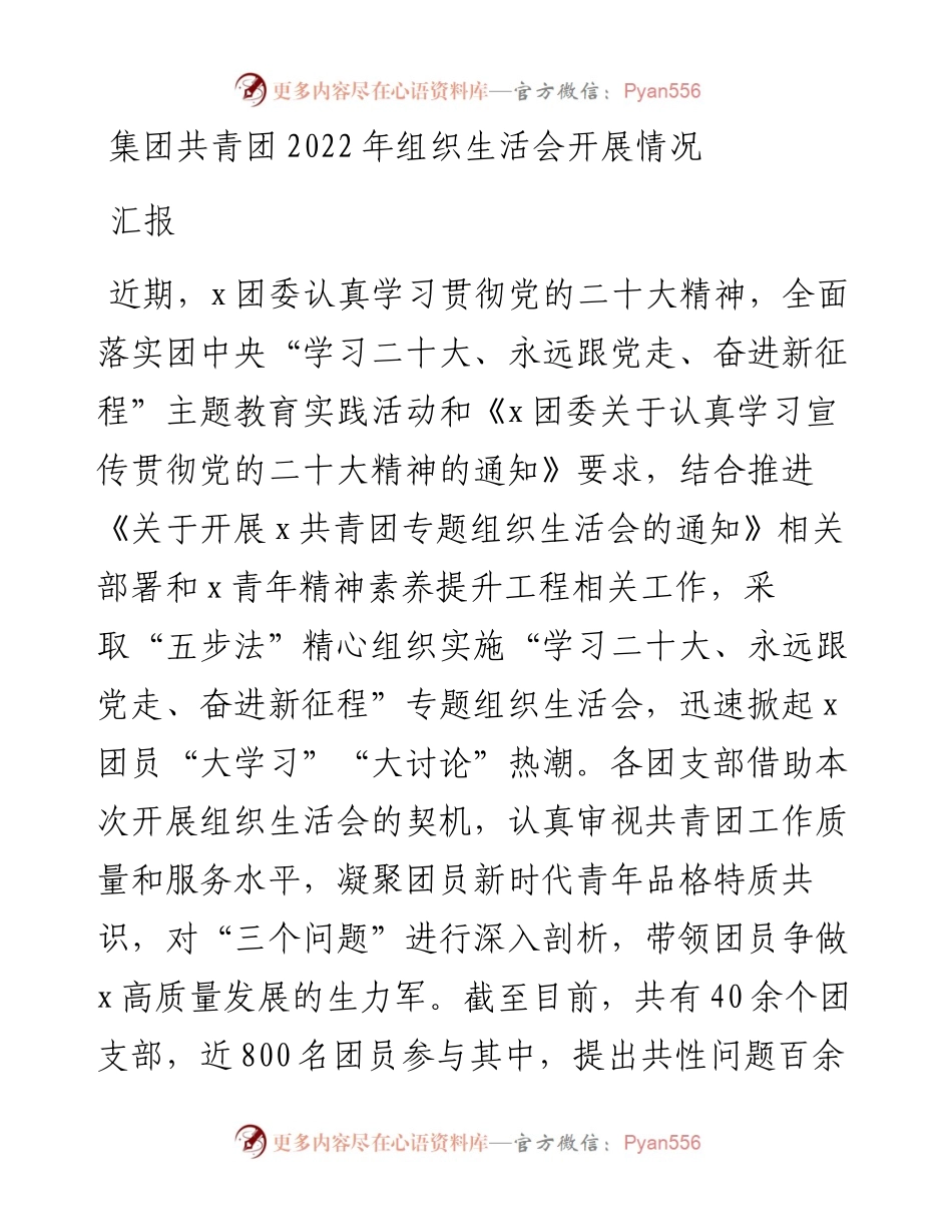 集团共青团组织生活会开展情况汇报.docx_第1页