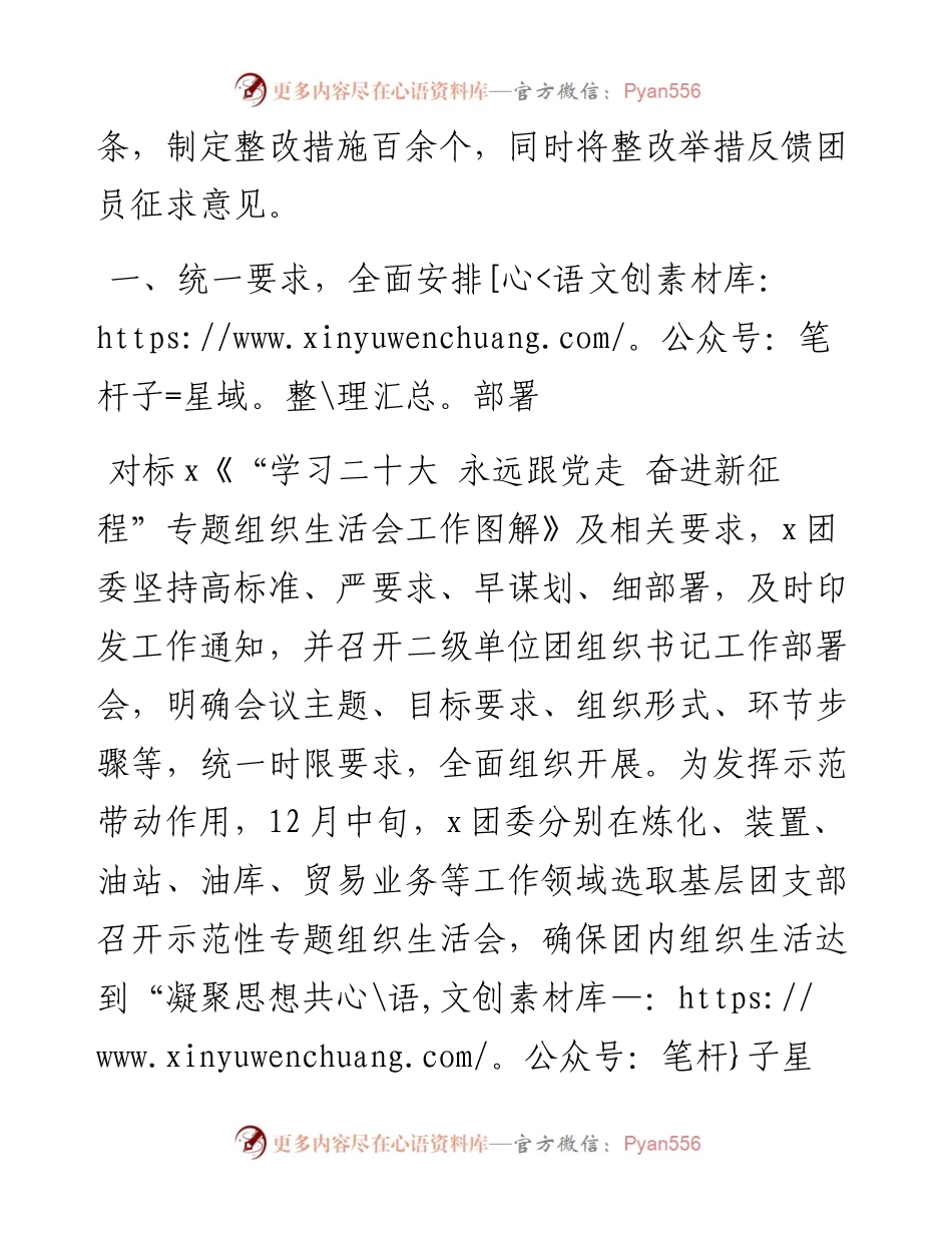 集团共青团组织生活会开展情况汇报.docx_第2页