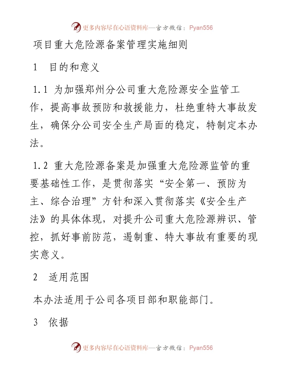 项目重大危险源备案管理实施细则.docx_第1页