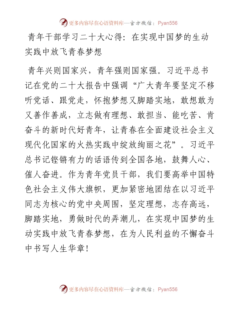 青年干部学习二十大心得：在实现中国梦的生动实践中放飞青春梦想(1).docx_第1页