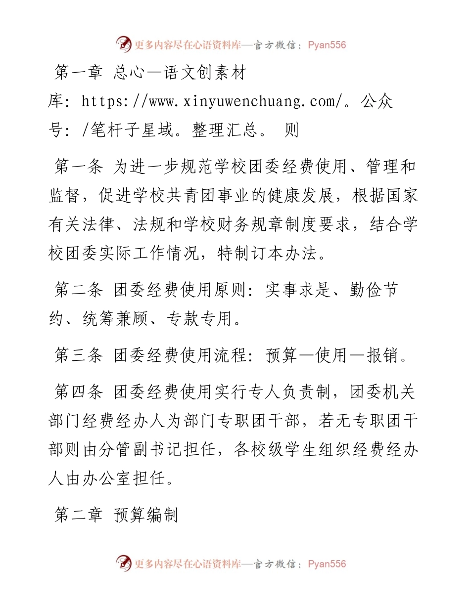 高校团的各项经费预算、审核和管理工作制度 （试行）.docx_第1页