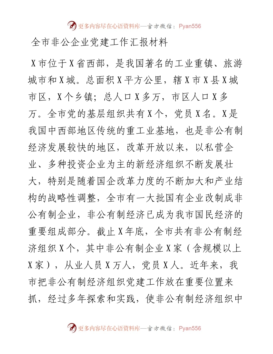 非公企业党建工作总结汇报（市）.docx_第1页