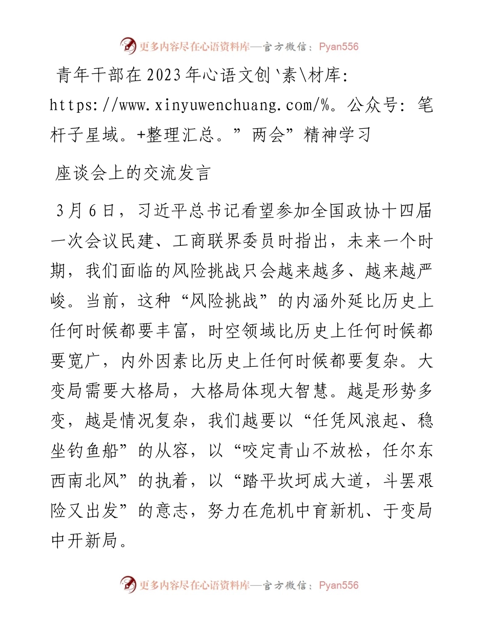 青年干部在2023年”两会”精神学习座谈会上的交流发言.docx_第1页