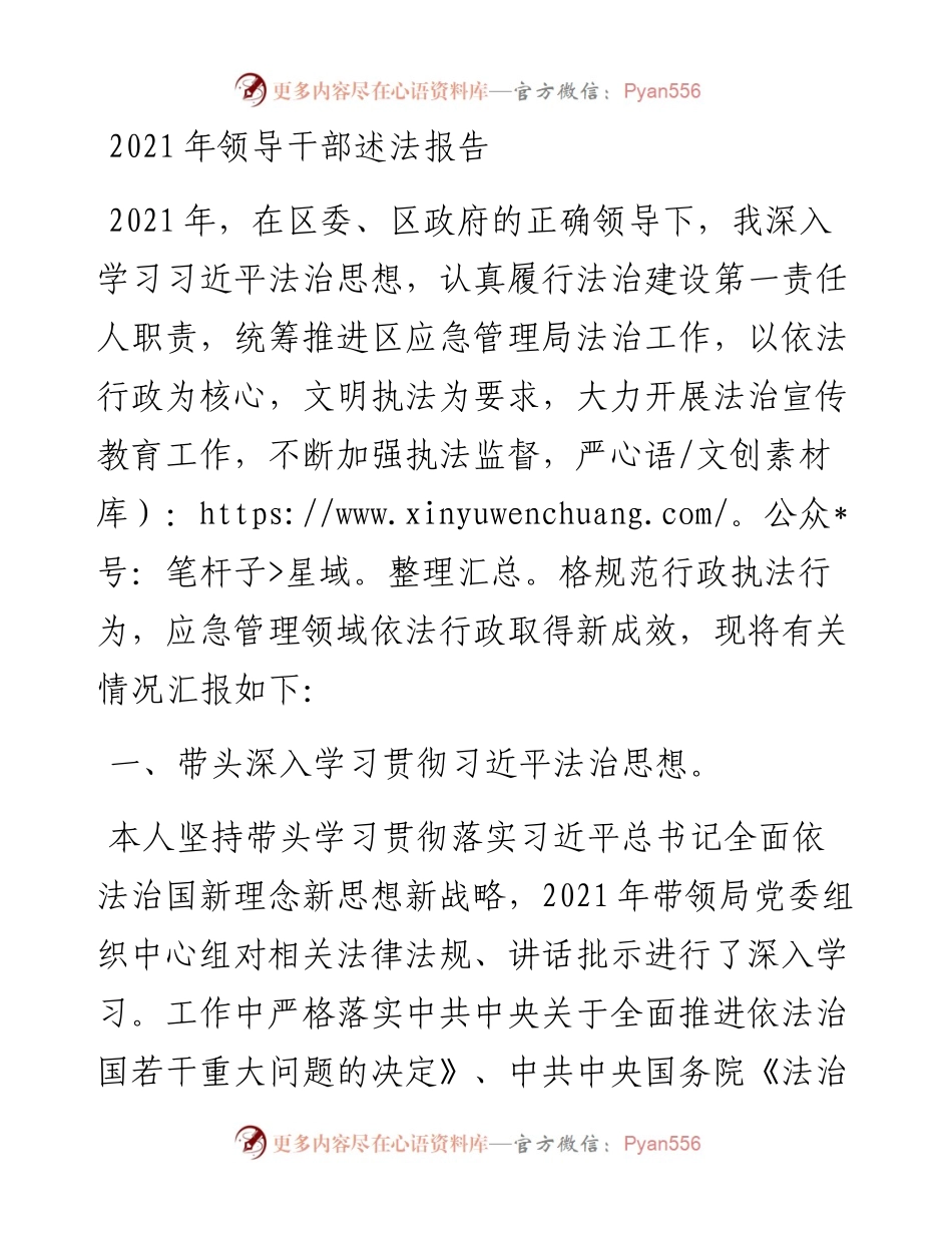 领导干部述法报告.docx_第1页