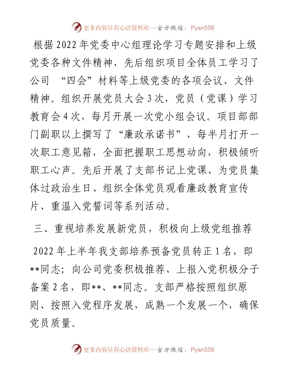 项目部党支部上半年工作总结.docx_第2页