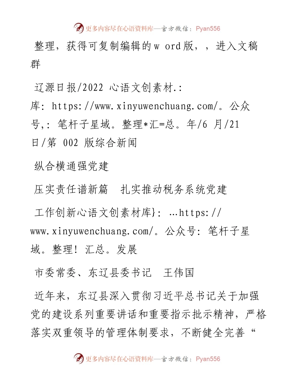 .06.21市委常委、东辽县委书记王伟国：纵合横通强党建压实责任谱新篇扎实推动税务系统党建工作创新发展.docx_第1页