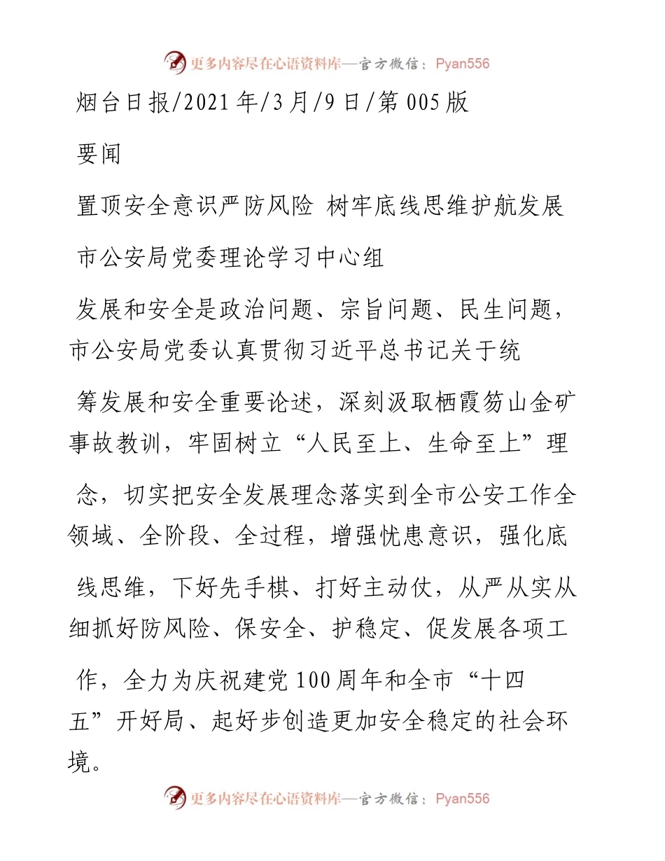 .03.09市公安局党委理论学习中心组：置顶安全意识严防风险树牢底线思维护航发展.docx_第1页