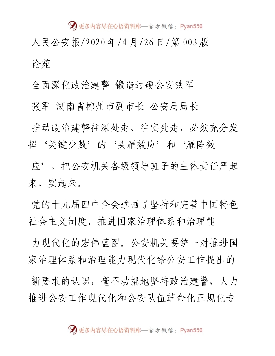 .04.26张军湖南省郴州市副市长公安局局长：全面深化政治建警锻造过硬公安铁军.docx_第1页