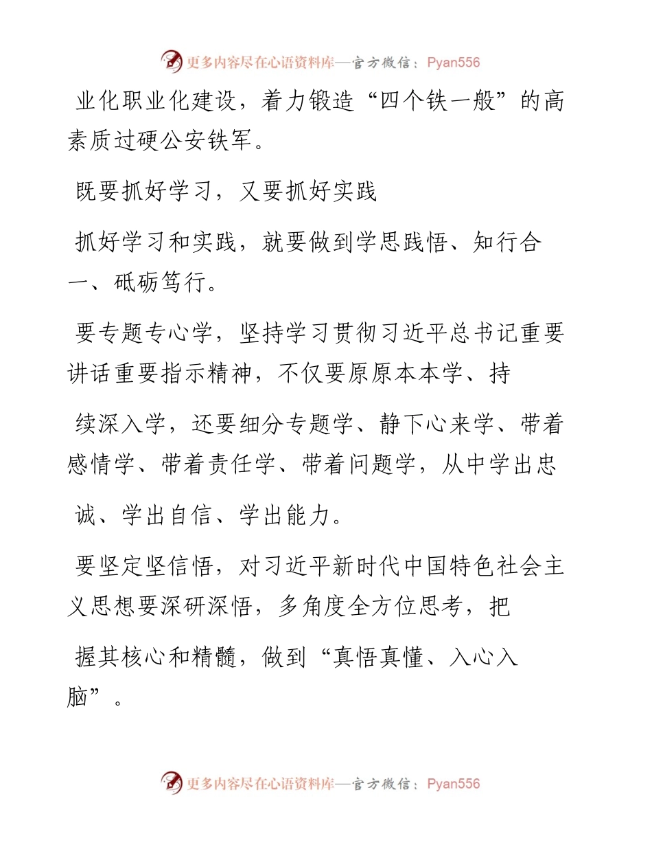 .04.26张军湖南省郴州市副市长公安局局长：全面深化政治建警锻造过硬公安铁军.docx_第2页
