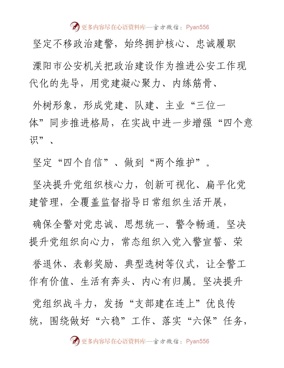 .06.07江苏省溧阳市副市长公安局局长刘新农：践行十六字总要求推进公安工作现代化.docx_第2页