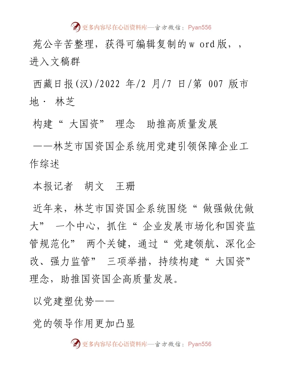 .02.07本报记者胡文王珊：构建大国资理念助推高质量发展.docx_第1页