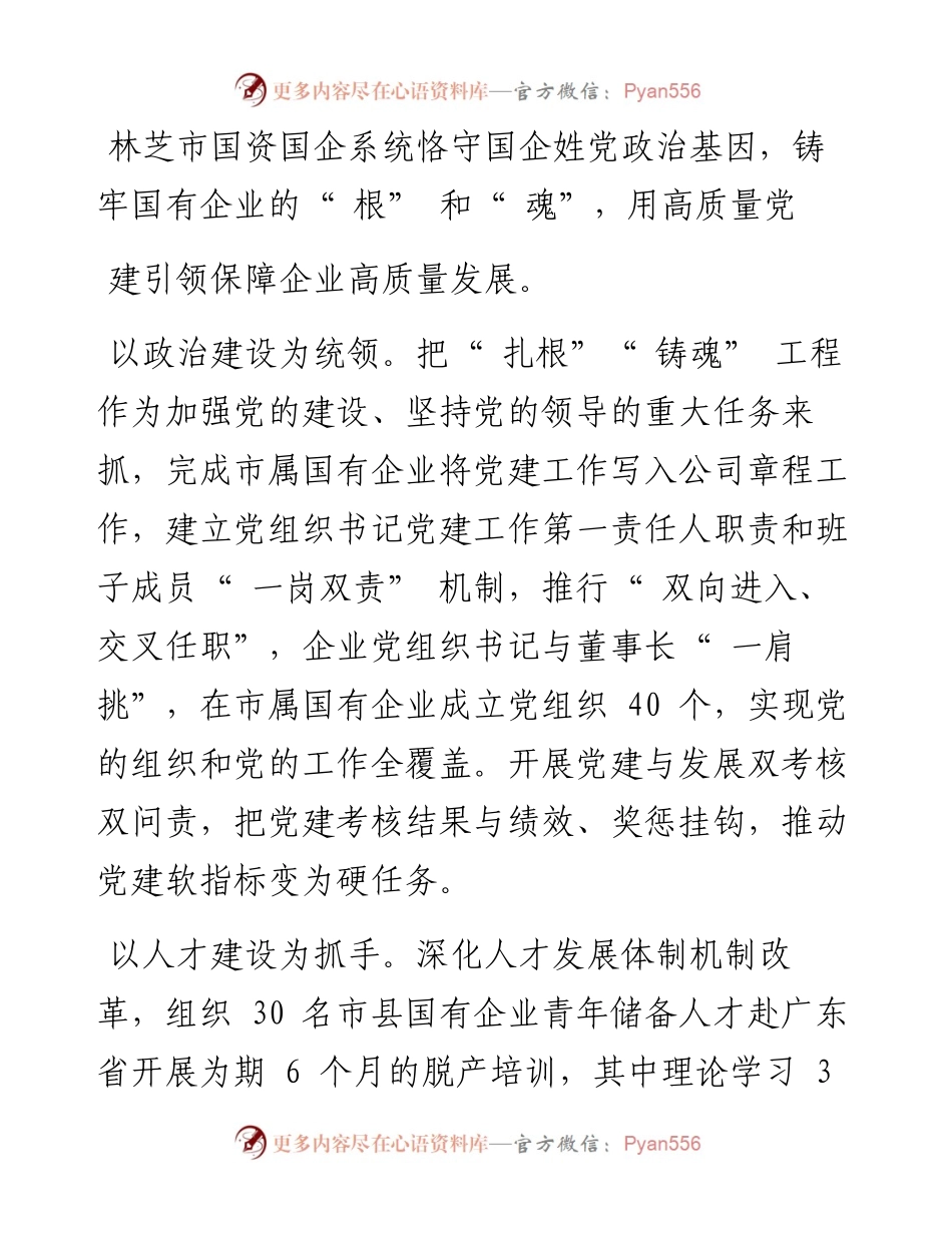 .02.07本报记者胡文王珊：构建大国资理念助推高质量发展.docx_第2页