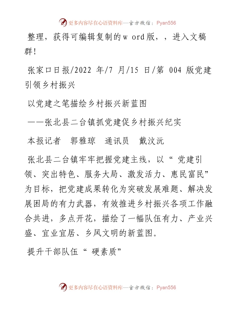 .07.15本报记者郭雅琼通讯员戴汶沅：以党建之笔描绘乡村振兴新蓝图.docx_第1页