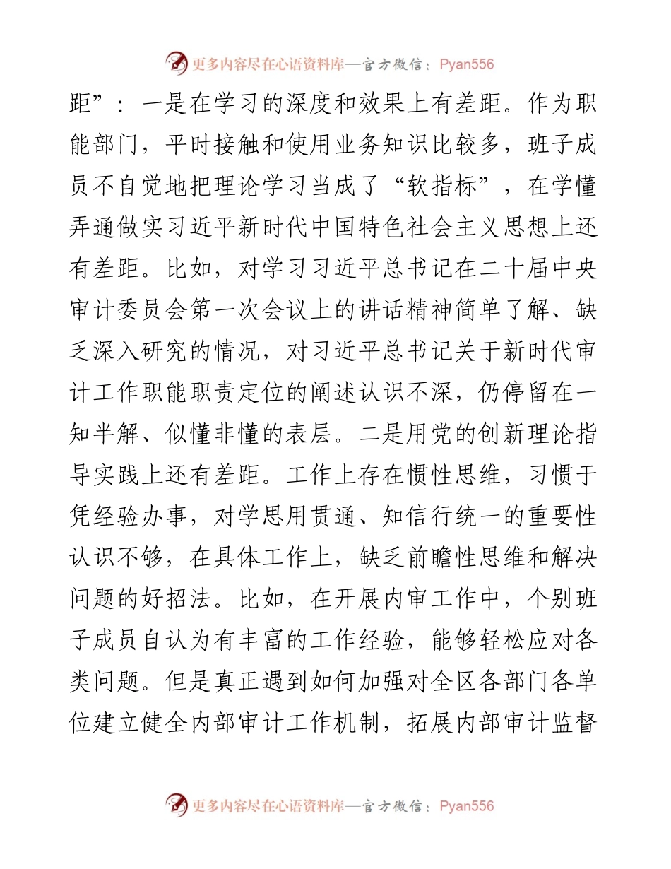 （班子）2023主题教育专题民主生活会班子对照检查（审计4100字）.docx_第2页