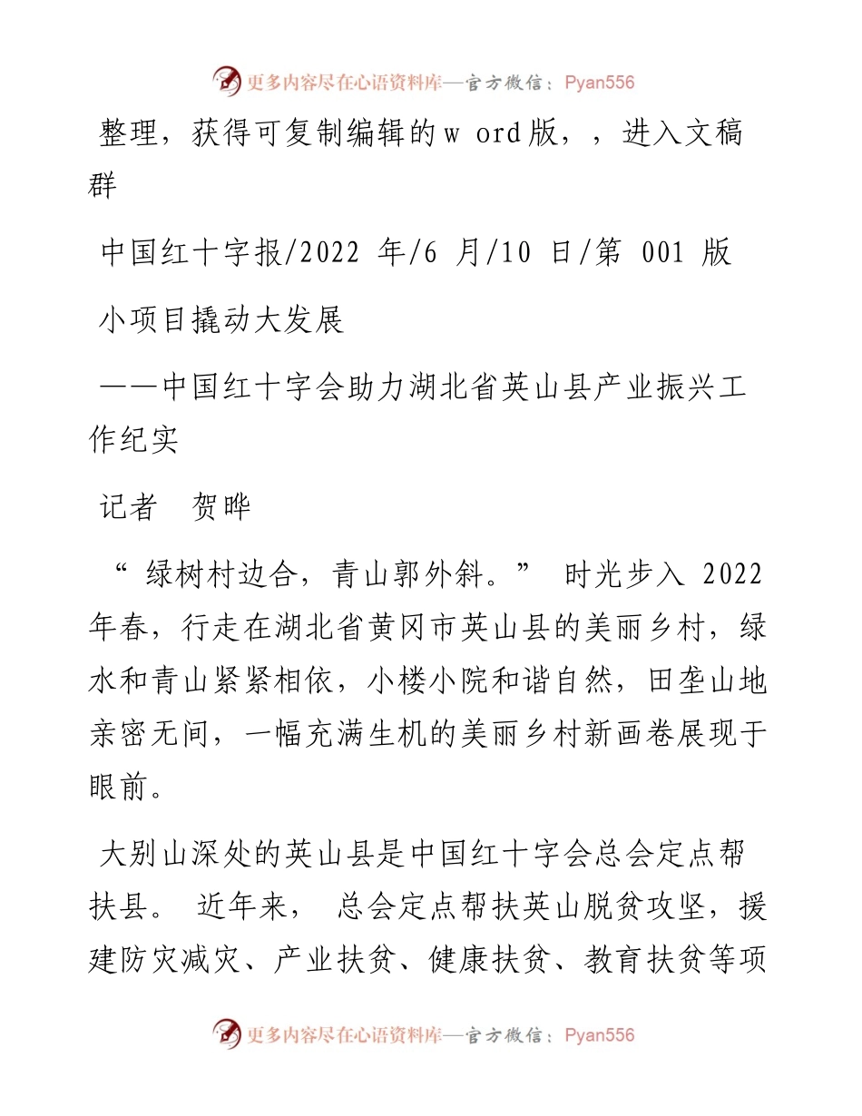 .06.10记者贺晔：小项目撬动大发展.docx_第1页