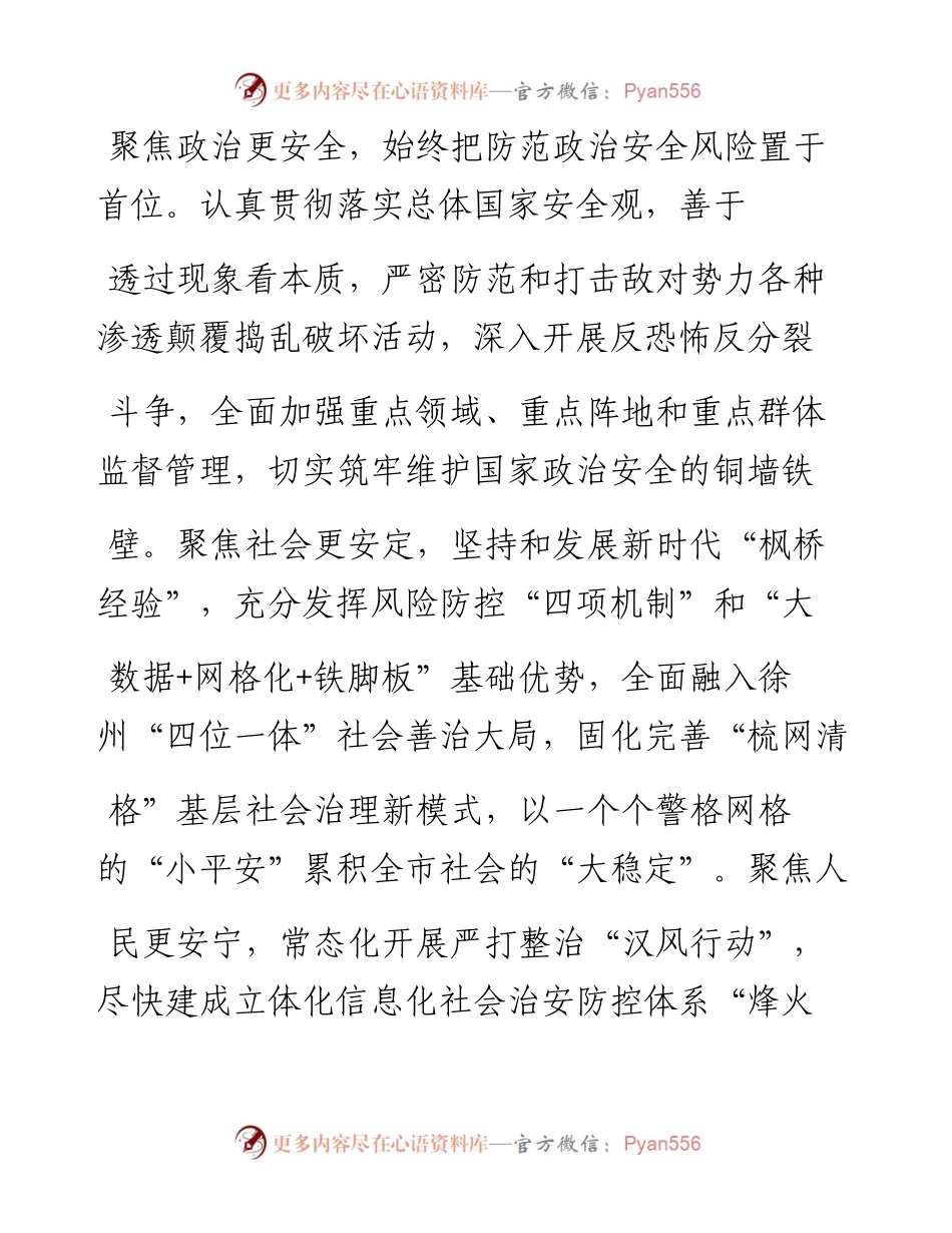 .12.15徐州市副市长市公安局党委书记、局长王巧全：建设更高水平的平安徐州.docx_第2页