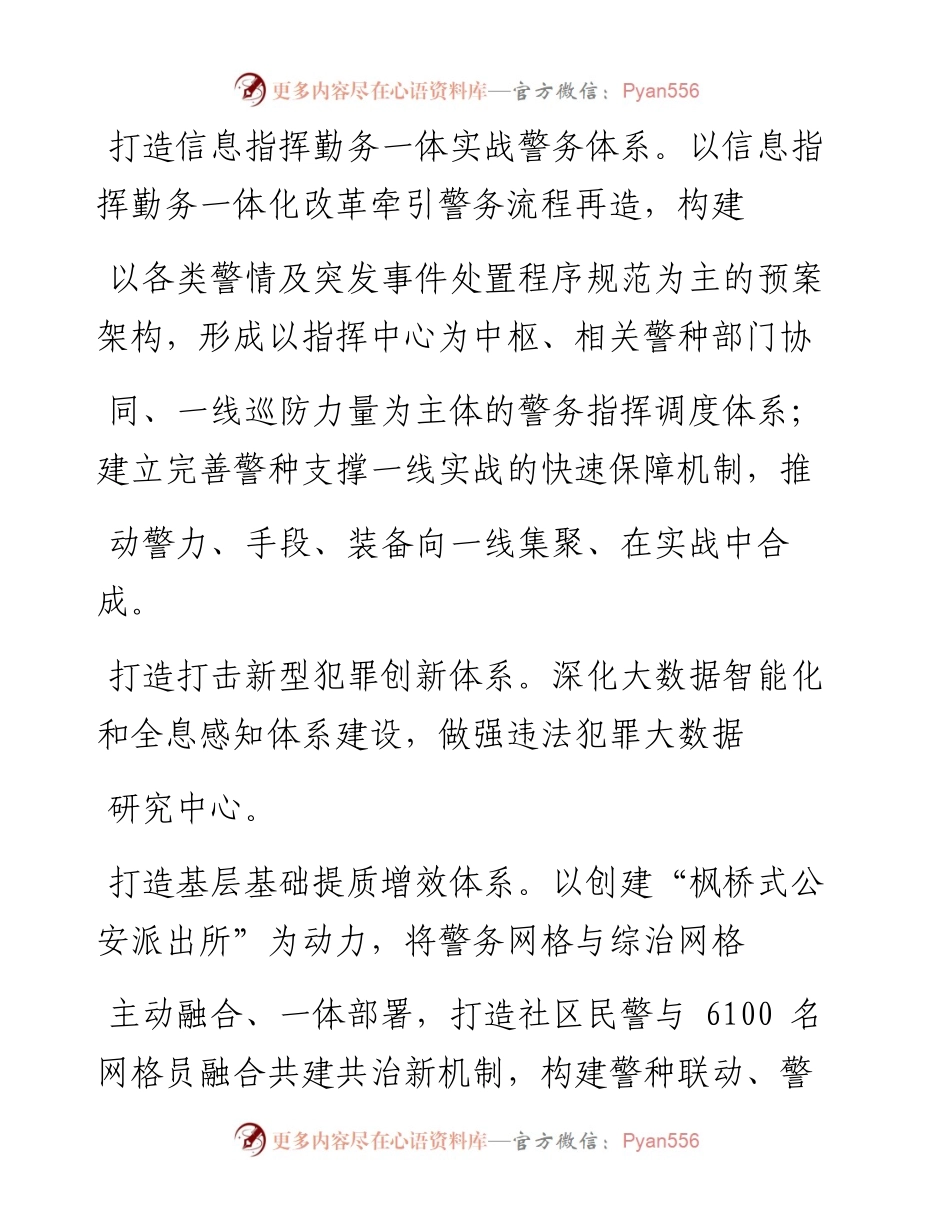 .05.12戚思宇东营市副市长市公安局局长：创新打造六大体系聚力推进重点攻坚.docx_第2页