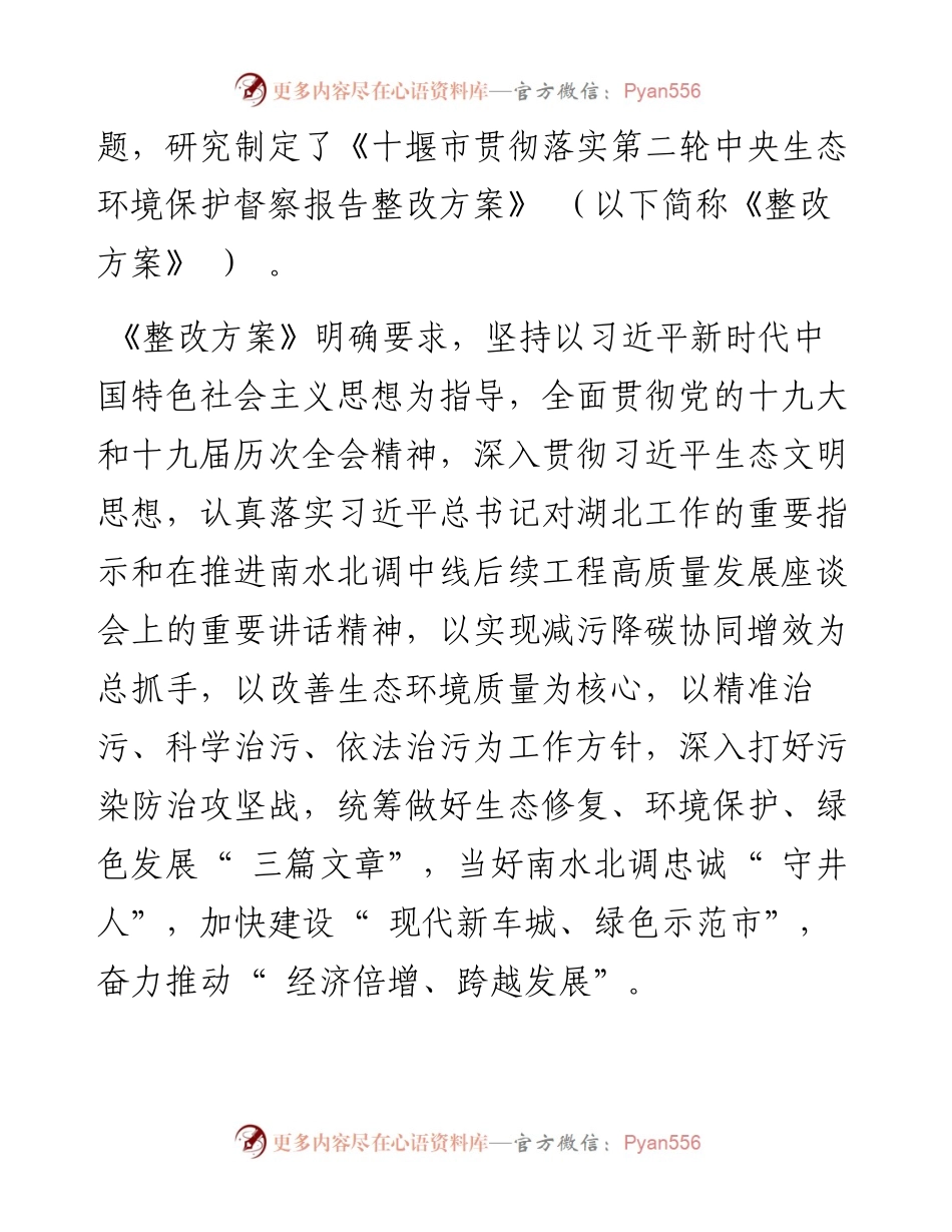 .06.02市生态环境局：十堰市公开第二轮中央生态环境保护督察报告整改方案.docx_第2页