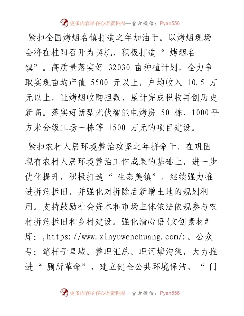 .02.21桂阳县政府四级调研员、仁义镇党委书记雷小林：聚焦五镇建设推进乡村振兴.docx_第2页