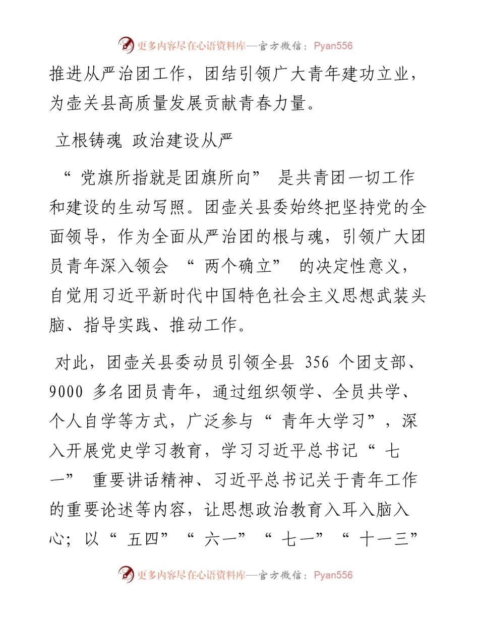 .07.14共青团壶关县委书记岳萌：对标全面从严治党推进全面从严治团.docx_第2页