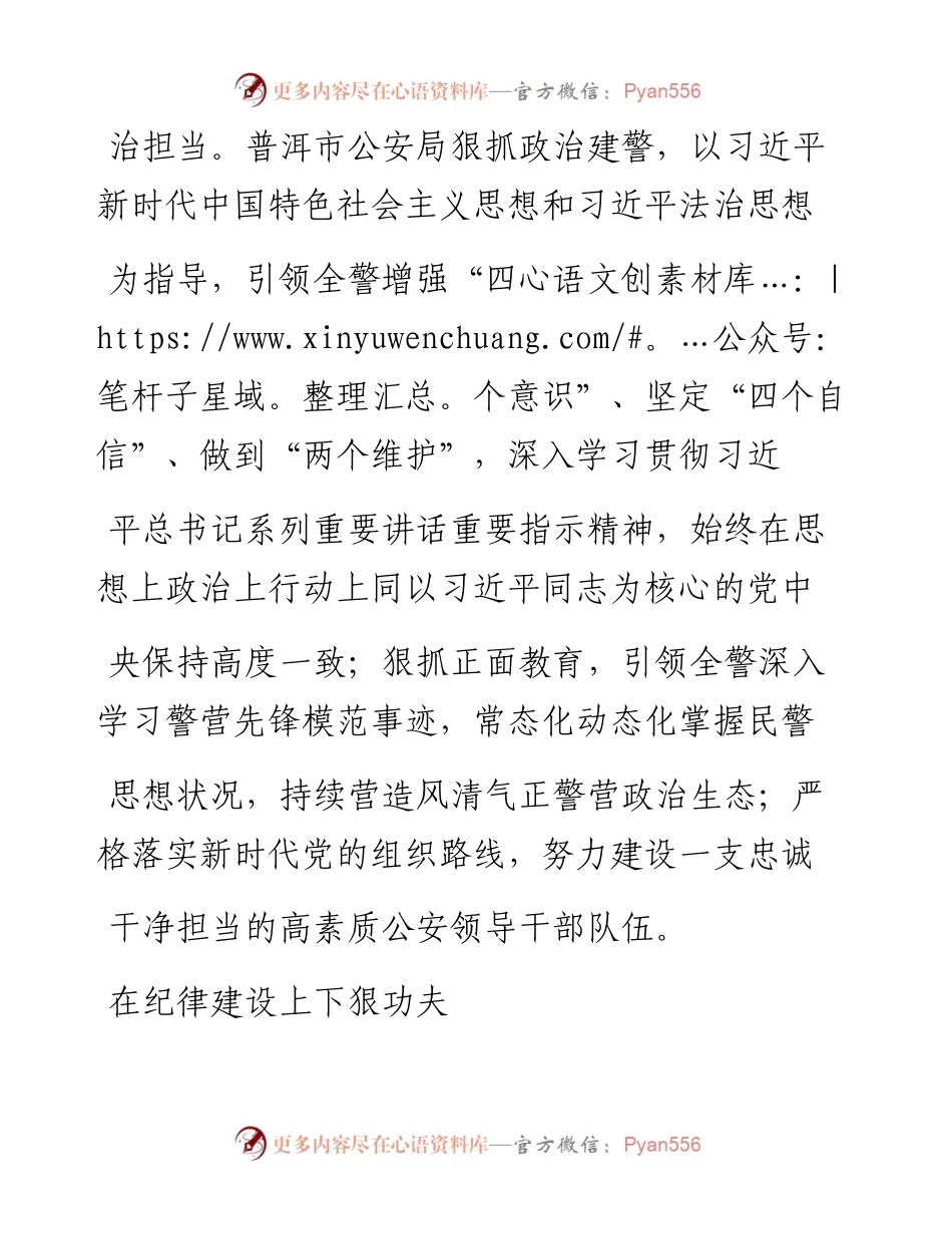 .02.07云南省普洱市副市长、公安局局长朱曦明：深化教育整顿淬炼过硬铁军——如椽巨笔1公众号整理.docx_第2页