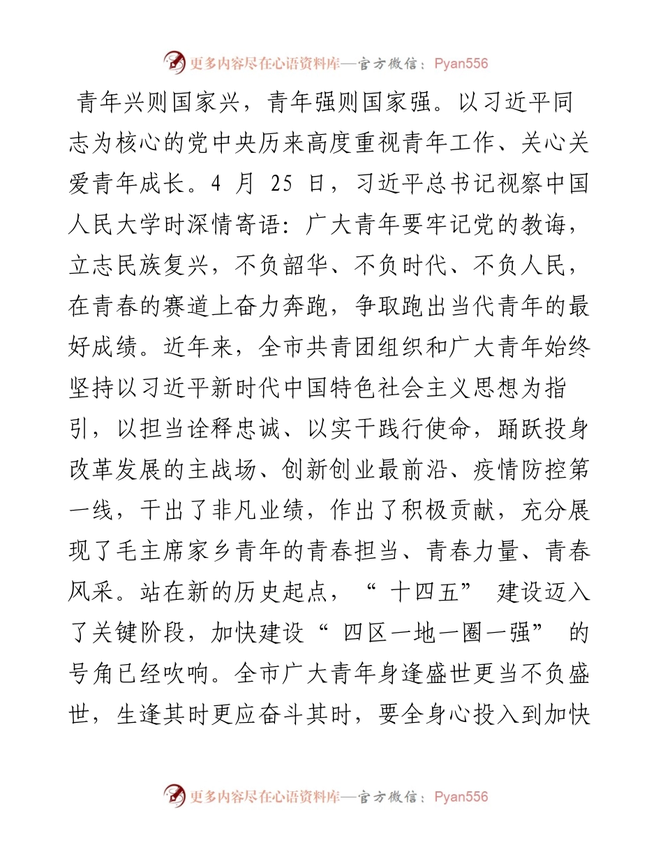 .05.05中共湘潭市委书记刘志仁：为加快建设四区一地一圈一强贡献青春力量.docx_第2页