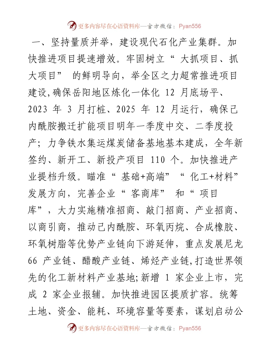 .12.15云溪区委副书记、区长蒋春艳：加快打造中部地区最大石化产业基地.docx_第2页
