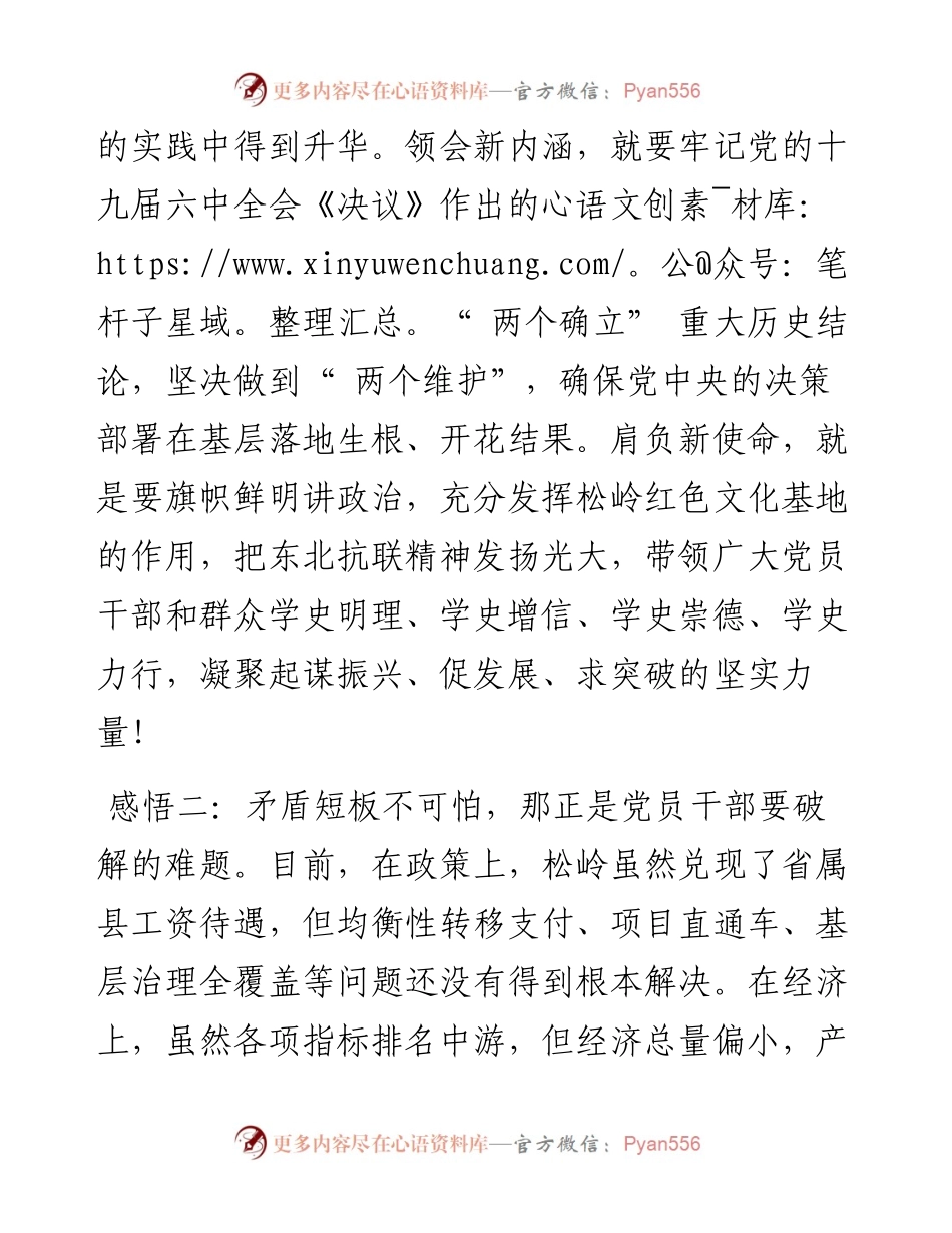 .03.01松岭区委副书记、区长金广丹：旗帜鲜明讲政治真抓实干开新局.docx_第2页