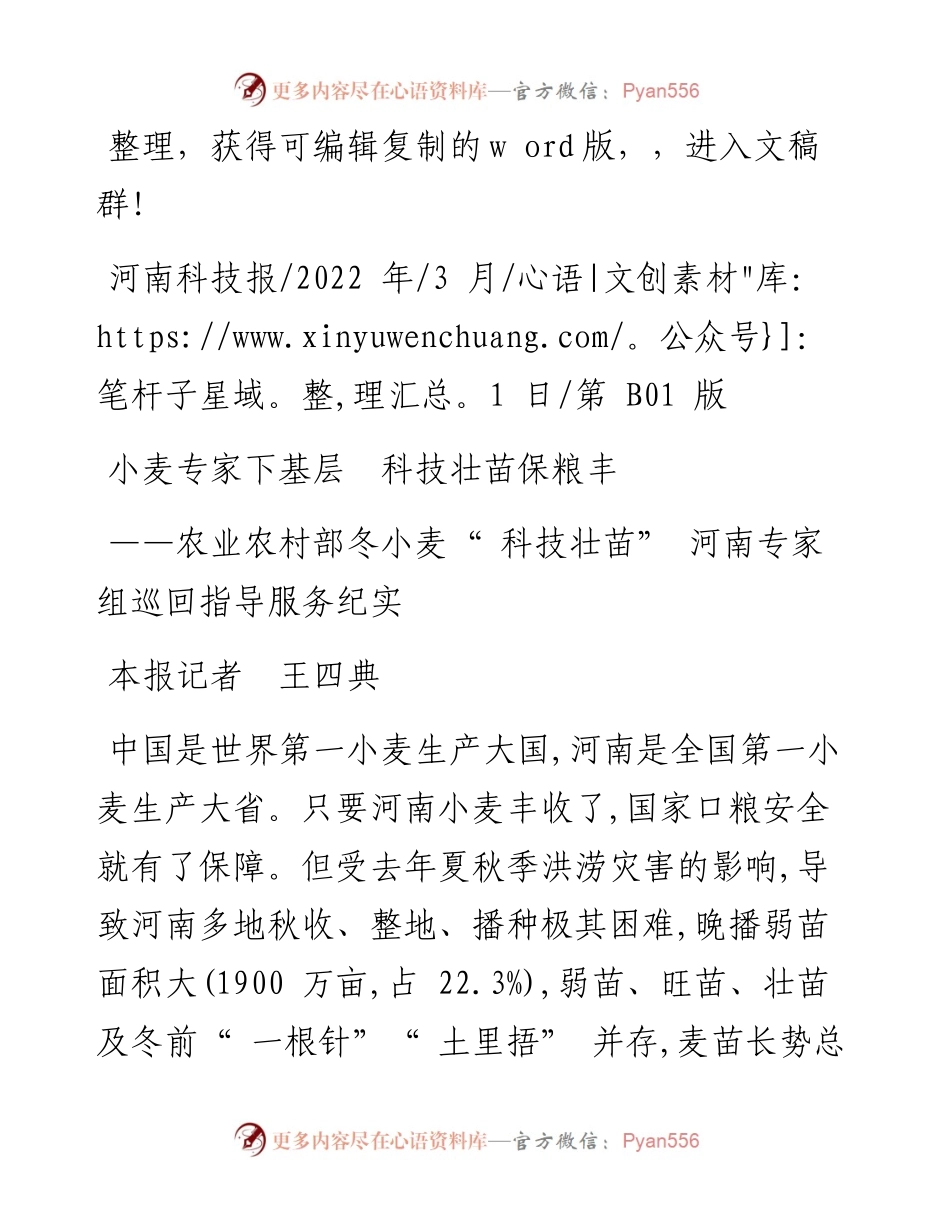 .03.01本报记者王四典：小麦专家下基层科技壮苗保粮丰.docx_第1页