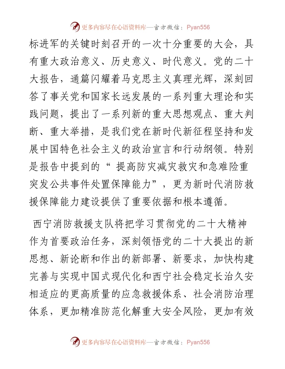 .11.10市消防救援支队党委书记、政治委员张涛记者悠然：开创消防事业高质量发展新局面.docx_第2页