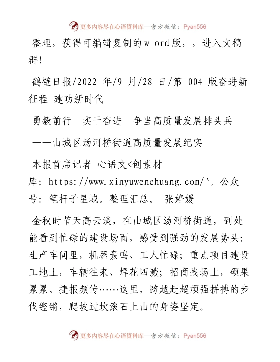 .09.28本报首席记者张婷媛：勇毅前行实干奋进争当高质量发展排头兵.docx_第1页
