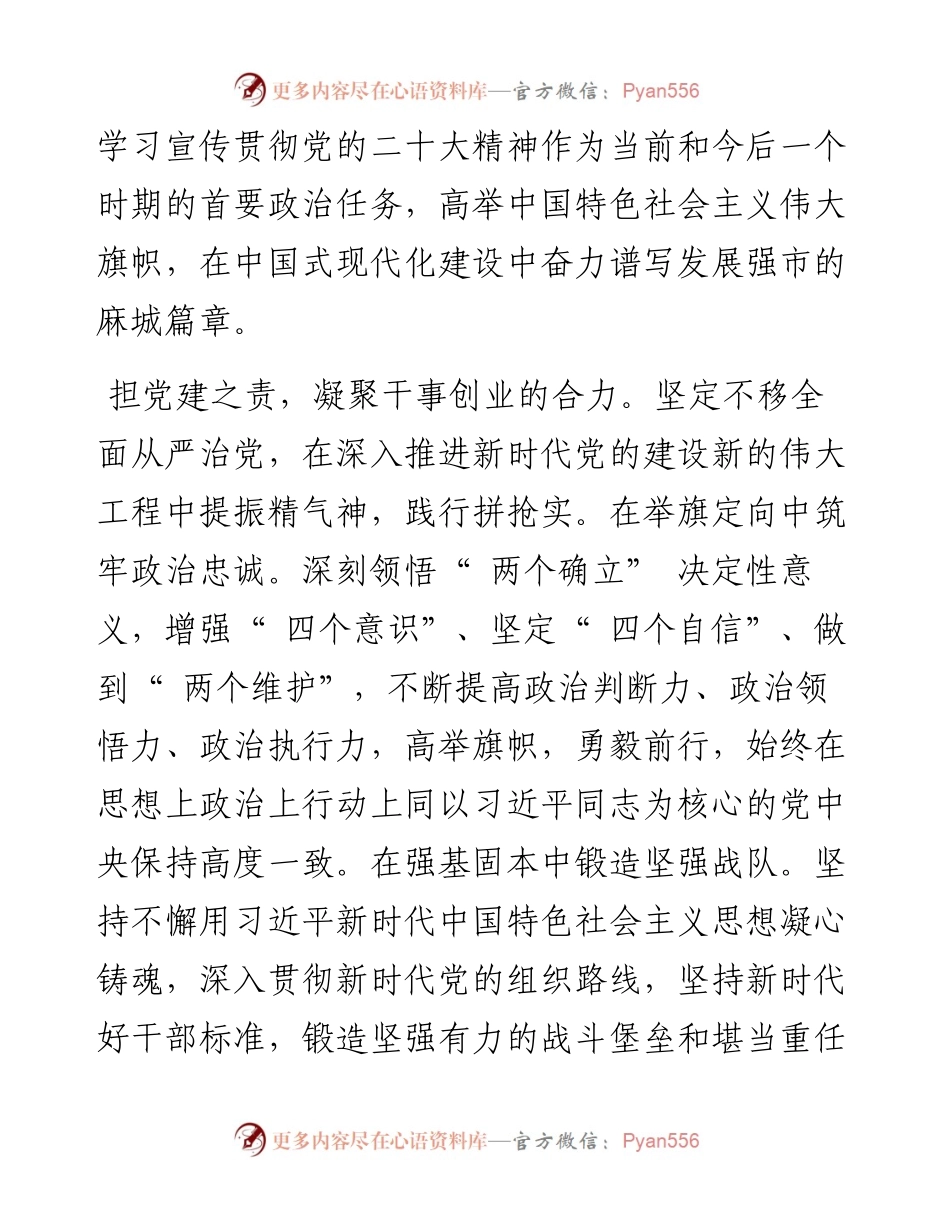 .11.17麻城市委书记汪国兵：高举伟大旗帜谱写强市新篇.docx_第2页