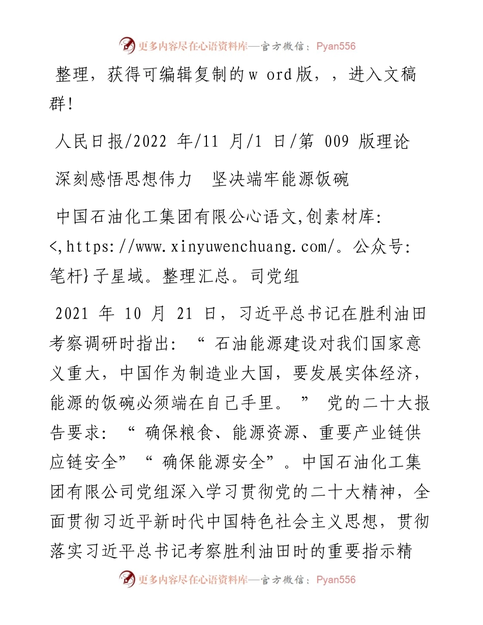 .11.01中国石油化工集团有限公司党组：深刻感悟思想伟力坚决端牢能源饭碗.docx_第1页