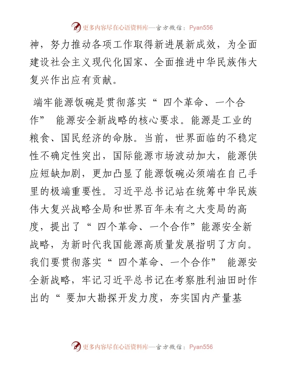 .11.01中国石油化工集团有限公司党组：深刻感悟思想伟力坚决端牢能源饭碗.docx_第2页