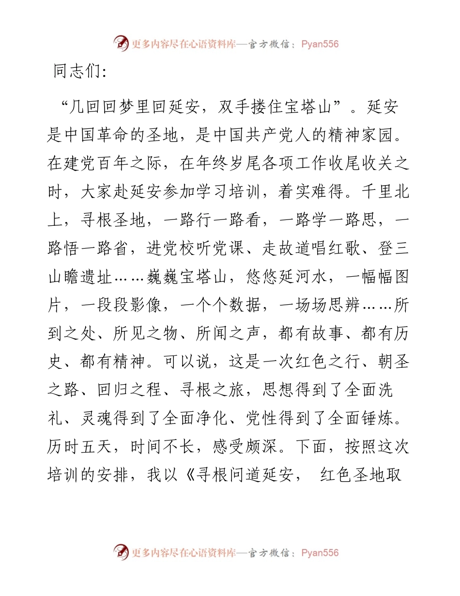 （专题党课）寻根问道延安 红色圣地取经 让延安精神在担当新时代新使命中永放光芒.docx_第1页