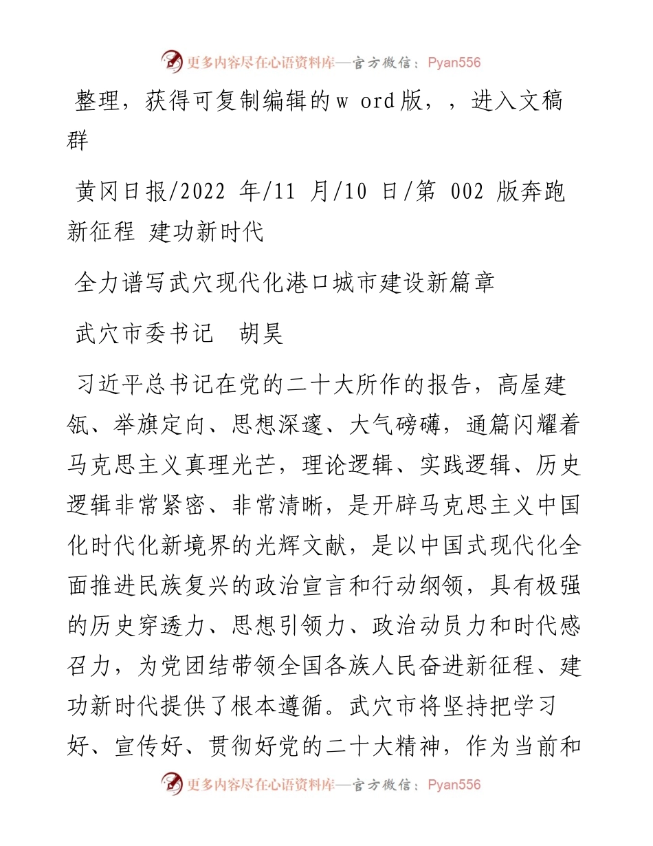 .11.10武穴市委书记胡昊：全力谱写武穴现代化港口城市建设新篇章.docx_第1页