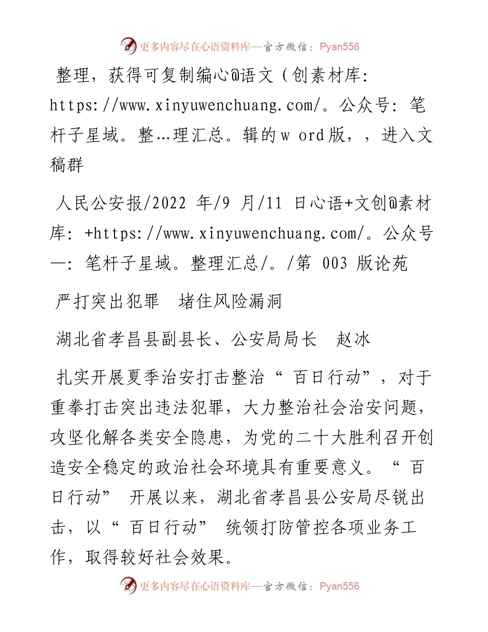 .09.11湖北省孝昌县副县长、公安局局长赵冰：严打突出犯罪堵住风险漏洞.docx_第1页