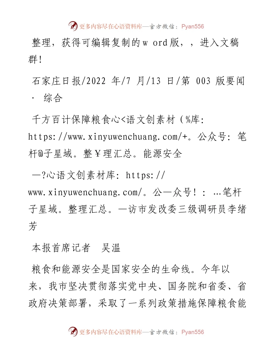 .07.13本报首席记者吴温：千方百计保障粮食能源安全.docx_第1页