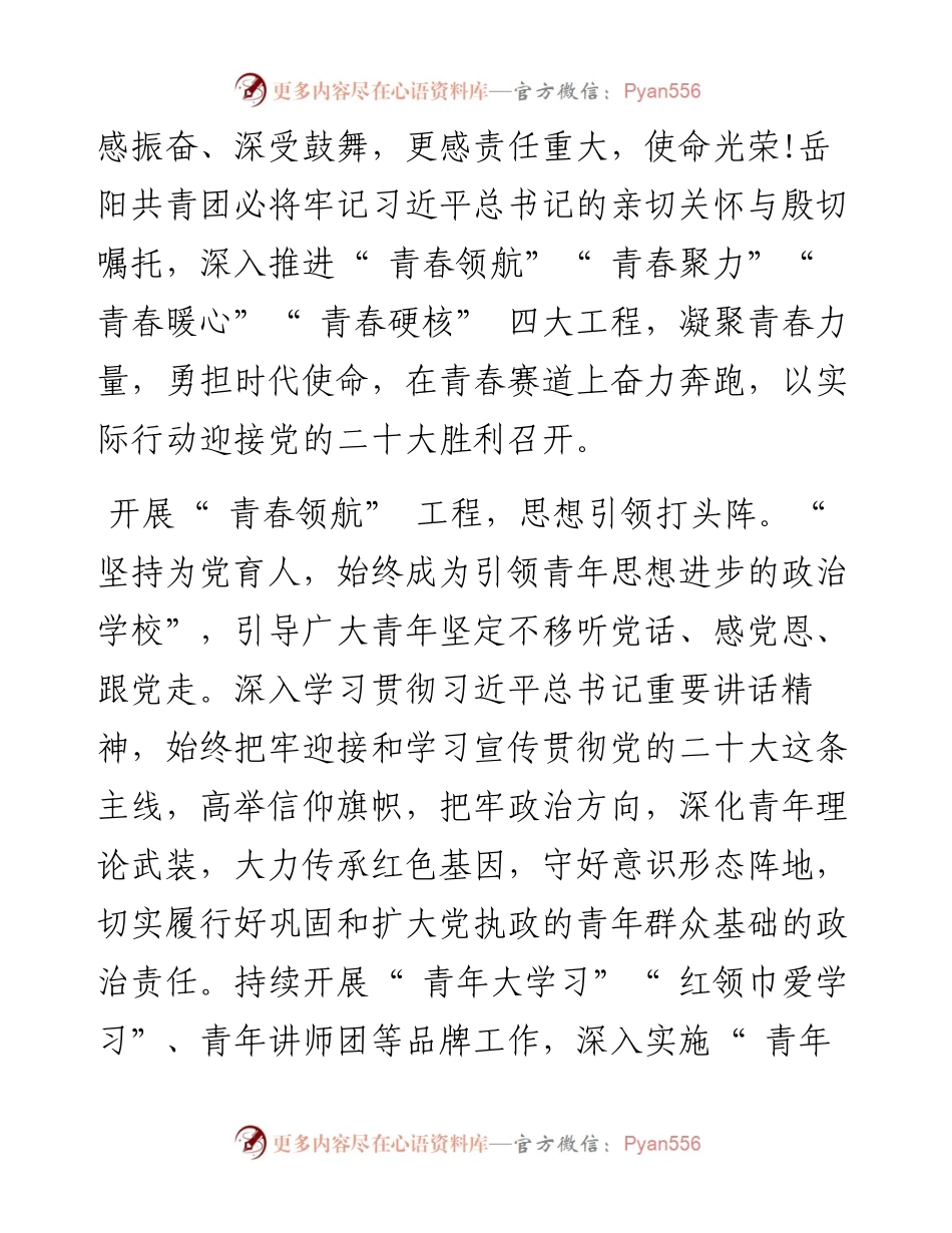 .05.12共青团岳阳市委书记綦小广：牢记领袖嘱托勇担青春使命.docx_第2页