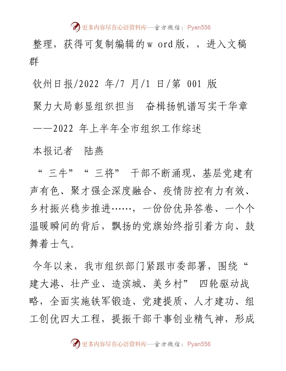 .07.01本报记者陆燕：聚力大局彰显组织担当奋楫扬帆谱写实干华章.docx_第1页
