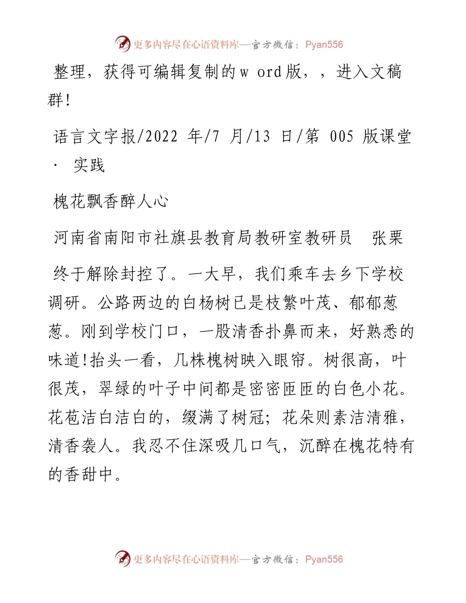 .07.13河南省南阳市社旗县教育局教研室教研员张栗：槐花飘香醉人心.docx_第1页
