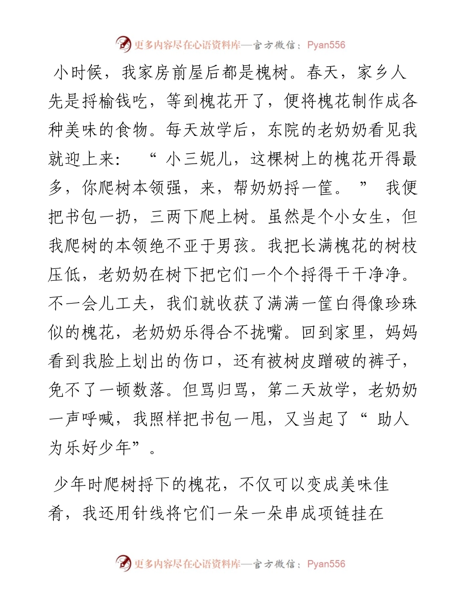 .07.13河南省南阳市社旗县教育局教研室教研员张栗：槐花飘香醉人心.docx_第2页