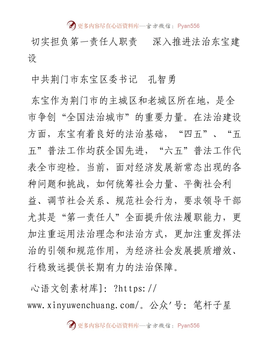 （湖北东宝区)-切实担负第一责任人职责 深入推进法治东宝建设送审稿(1).docx_第1页