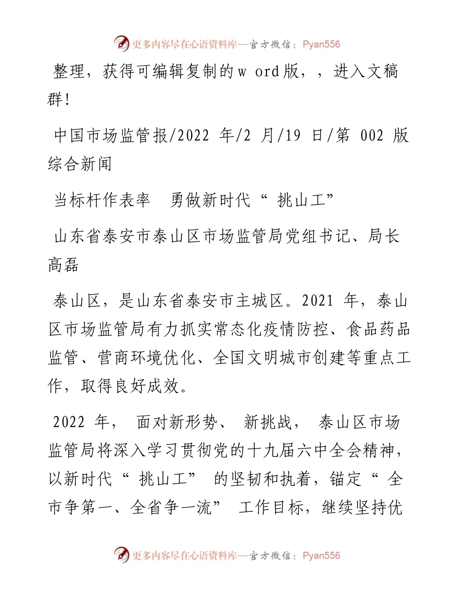 .02.19山东省泰安市泰山区市场监管局局长高磊：当标杆作表率勇做新时代挑山工.docx_第1页