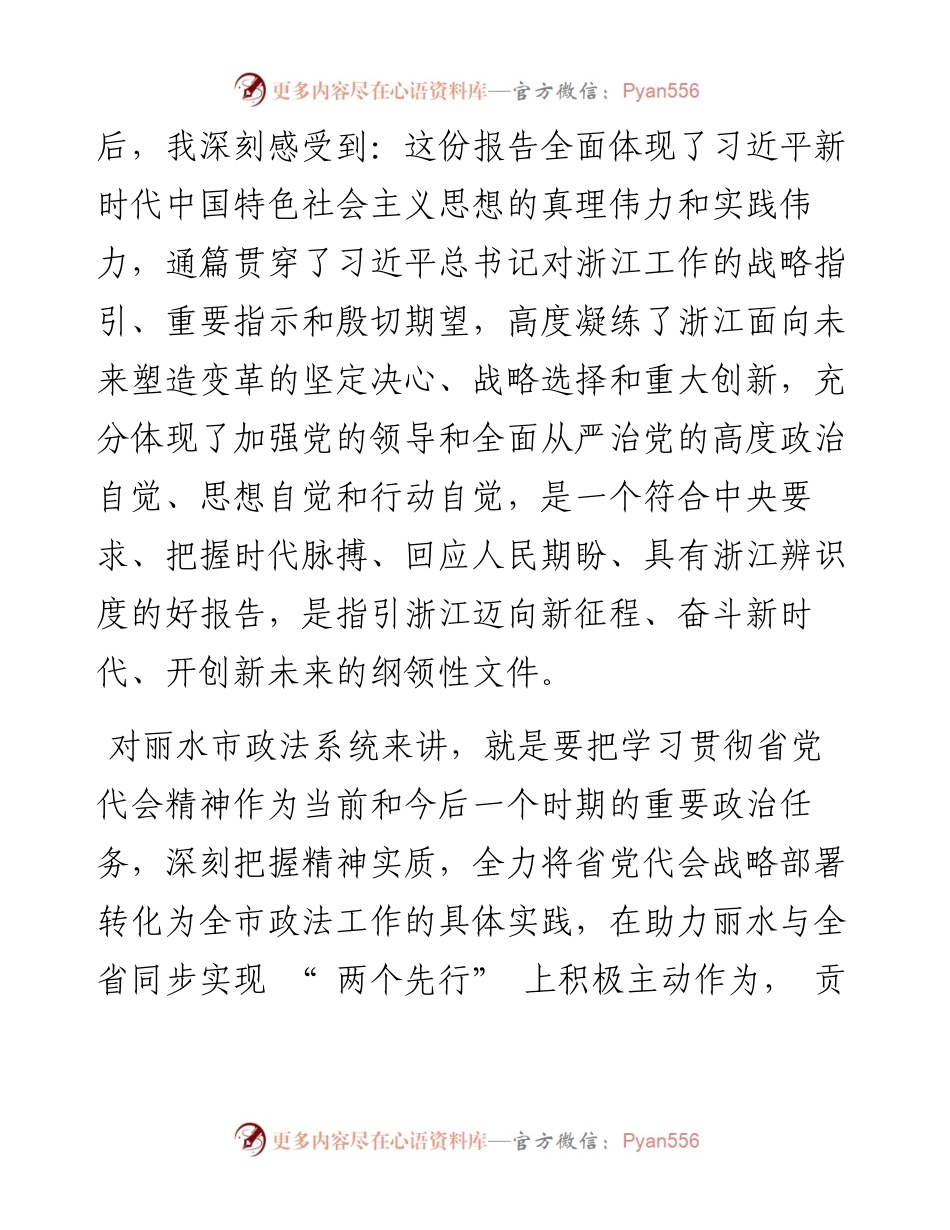 .07.22丽水市委副书记、政法委书记张赟：坚毅笃行丽水之干在平安护航两个先行中彰显丽水政法担当.docx_第2页