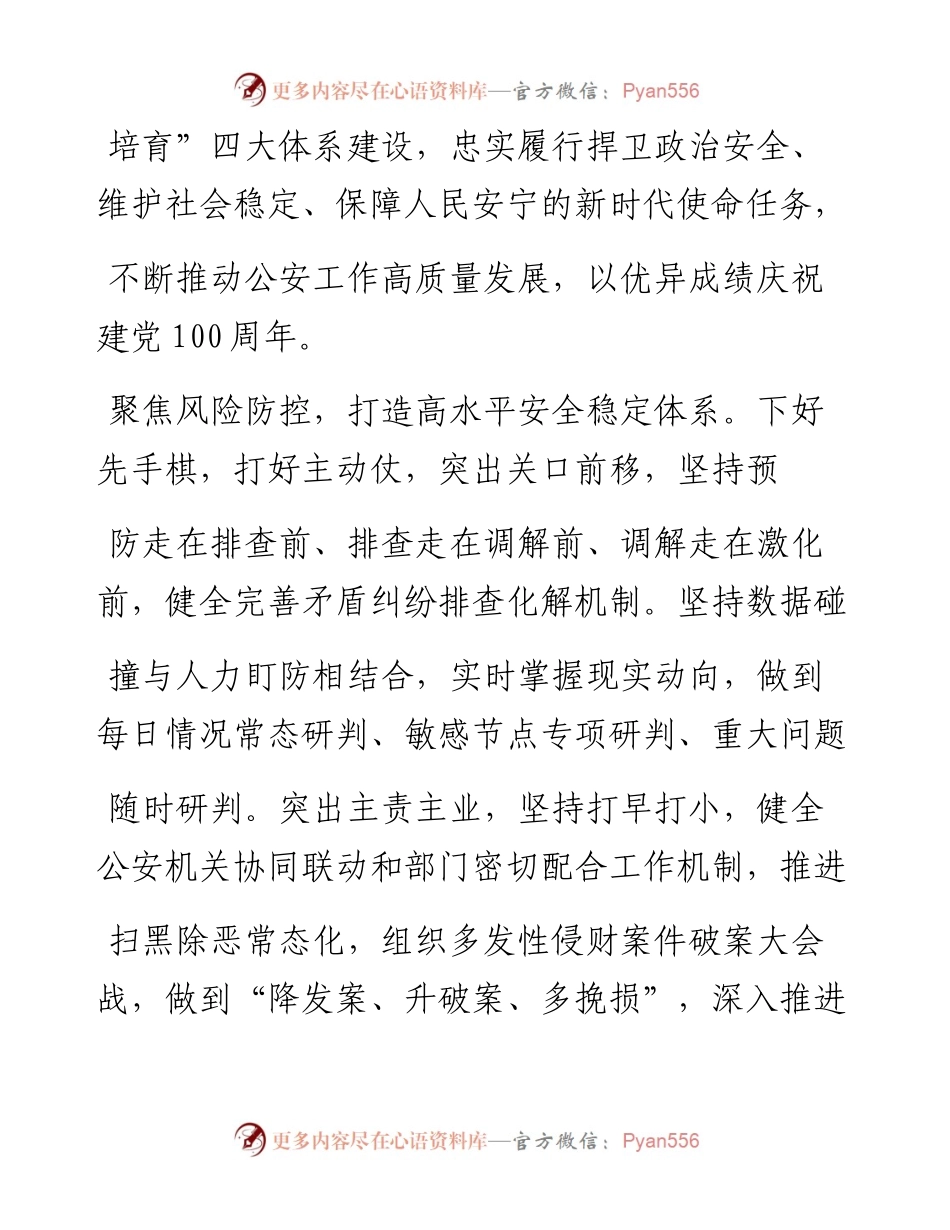 .04.20邵浩浩德州市副市长公安局局长：四大体系助推公安工作高质量发展.docx_第2页